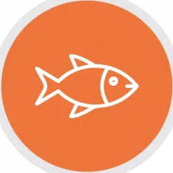 Ohio Fishing License Guide